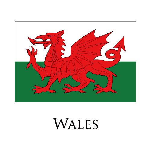 Wales flag logo iron on paper